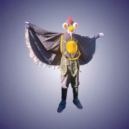 Condor (Fiesta de la tirana)